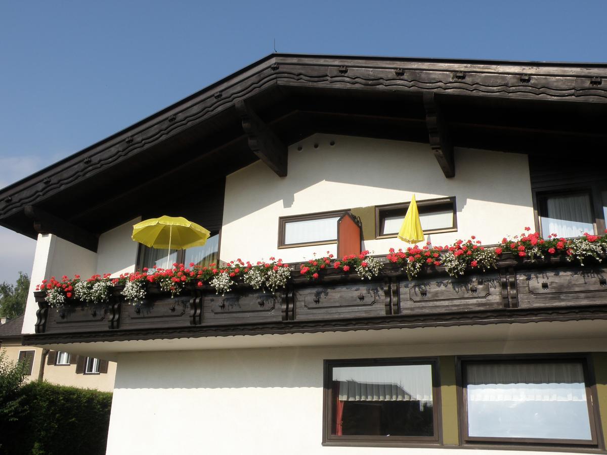 Appartements Koffler 팍암시 외부 사진